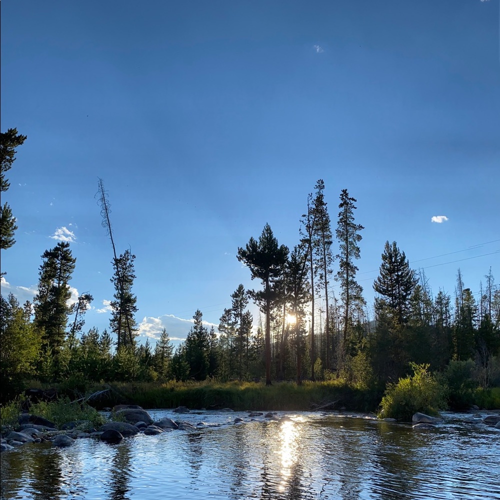 Meet your Posher, Olivia